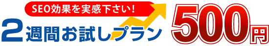 2週間お試しプラン500円